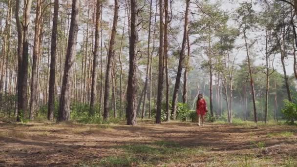 Młoda Kobieta Czerwonej Sukience Kokardą Spaceru Parku — Wideo stockowe