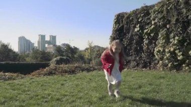 Küçük kız çalışan ve kameranın önünde atlar gibi. Ağır çekim