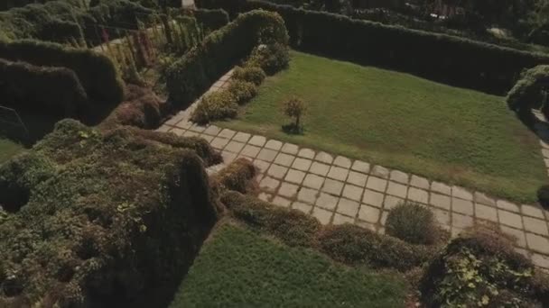 Θέα από το ύψος σε ένα πάρκο. Γυρίστηκε σε drone — Αρχείο Βίντεο