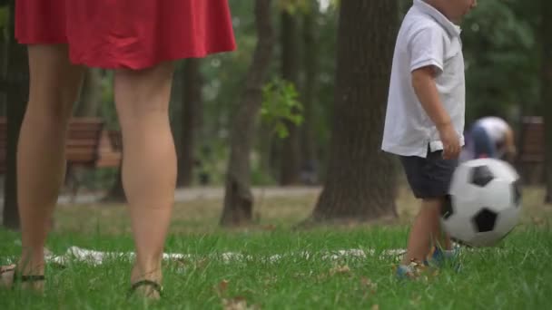 Kleine jongen spelen met een bal in het park — Stockvideo