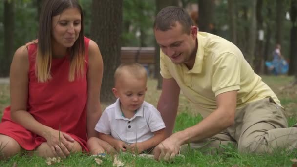 Pappa visar sin lille son ett ekollon i parken — Stockvideo