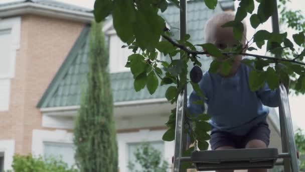 Petit garçon dans les escaliers dans le jardin — Video