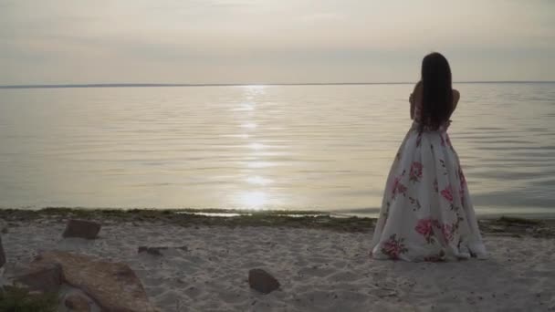 Mooi jong meisje in een lange mooie jurk wandelingen door de rivier — Stockvideo