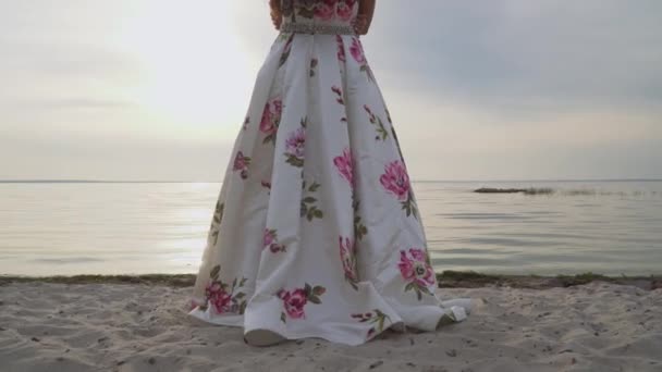 Morena encantadora em um vestido de noite longo em pé junto ao rio — Vídeo de Stock