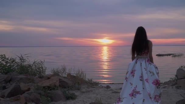 Дорога дівчина в довгій вечірній сукні біля річки — стокове відео