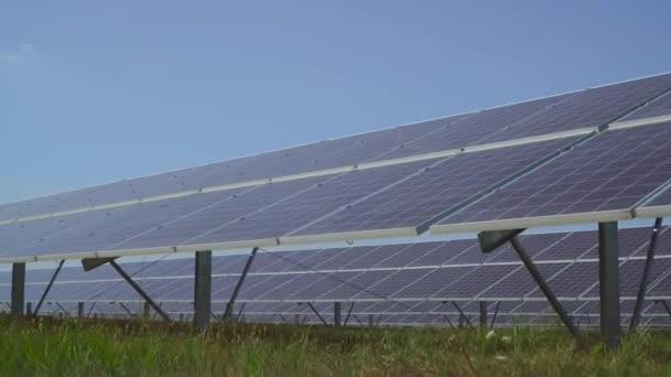 Großes Solarkraftwerk auf Wiese.