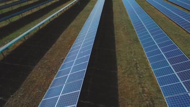 Paneles solares con luz solar que brilla. Disparo en dron — Vídeo de stock