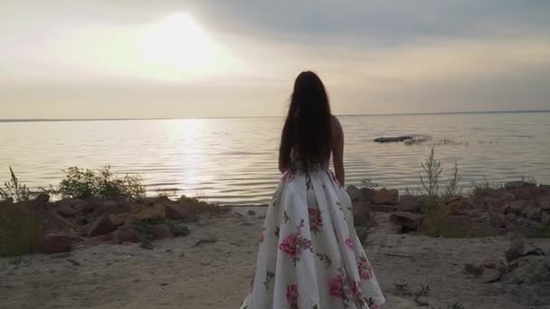 Jolie fille dans une longue belle robe au bord de la rivière — Video