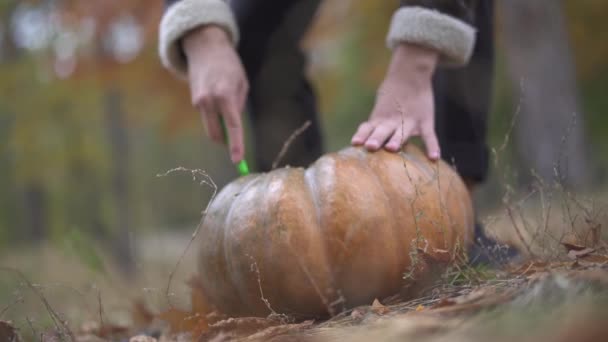 Halloween. Male chops a pumpkin with a butcher knife. — Stock Video