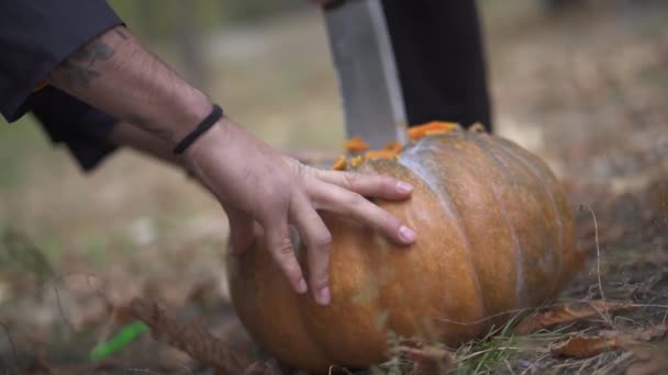 Halloween. Ein Mann pflückt einen Kürbis mit einem Fleischermesser. — Stockvideo