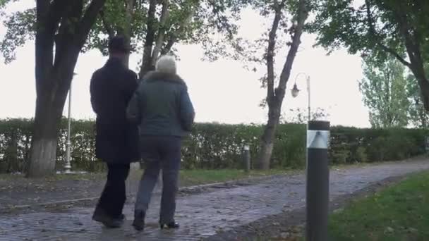 年配の男性と女性は、公園を歩く — ストック動画