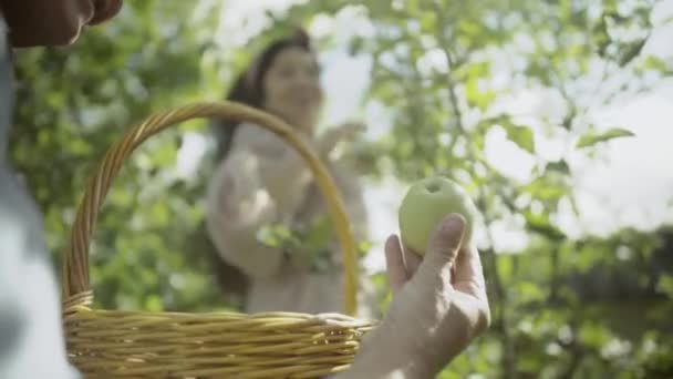 Vuxen man innehar ett äpple i trädgården — Stockvideo