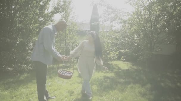 Alegre pareja adulta con una cesta de ciruelas en el jardín — Vídeo de stock
