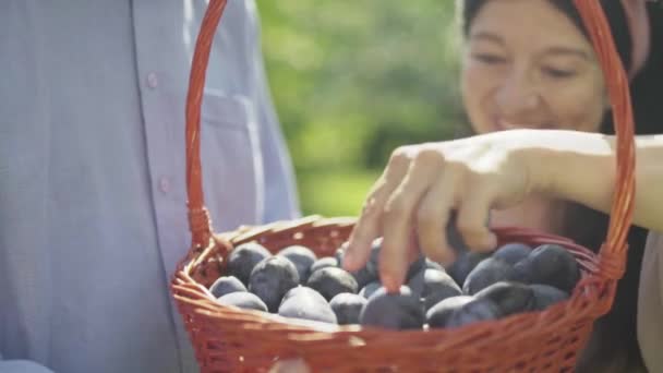 Rijpe Vrouw Bewonderen Pruimen Een Mand Een Man Heeft Een — Stockvideo