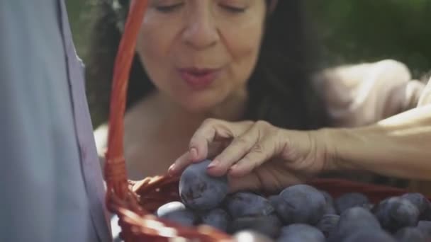 Vieja admirando ciruelas en una canasta — Vídeo de stock