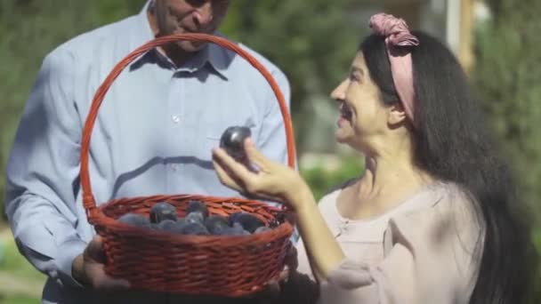 Vuxna par med en korg av plommon i trädgården — Stockvideo