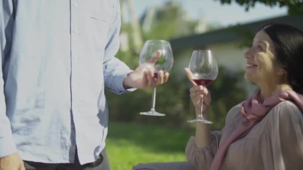 Pareja adulta clink copas de vino al aire libre — Vídeos de Stock