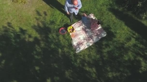 Pareja madura en el almuerzo al aire libre. Disparo de dron . — Vídeo de stock