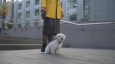Kadın köpeğini City ellerinde alıyor