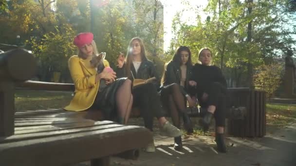 Empresa de meninas passa tempo no parque — Vídeo de Stock