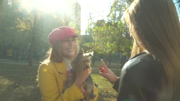 Duas meninas acariciar o cão no parque — Vídeo de Stock