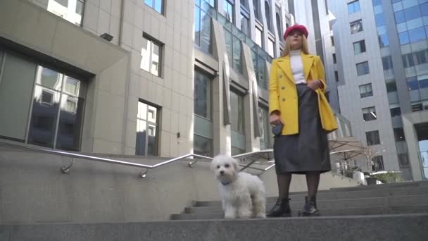 Hermosa chica con el perro está de pie en el primer plano del edificio — Vídeos de Stock