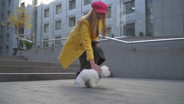 La señora de abrigo amarillo acaricia a su perrito — Vídeos de Stock