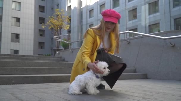 Elegante chica acariciando a su perro en el fondo del centro de la oficina — Vídeos de Stock