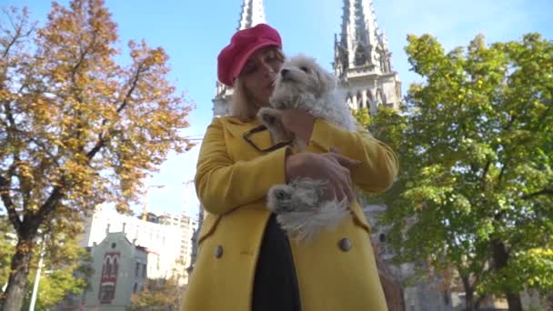 Elegante jovencita sosteniendo un perro faldero en sus manos — Vídeo de stock