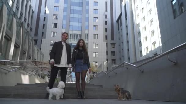 O cara e sua caminhada com cães na cidade — Vídeo de Stock