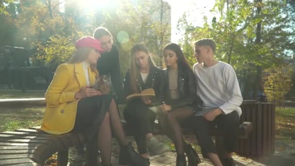 Company of teenagers is reading book in the park — Stock Video