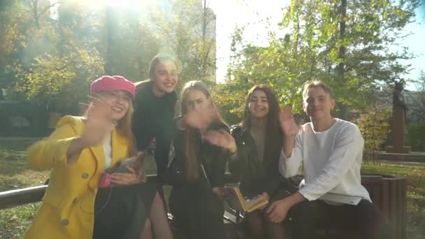 Compagnie de jeunes saluent la caméra dans le parc — Video