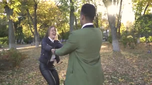 アフリカ系アメリカ人と白人の女の子の手を押し、公園で回転します。 — ストック動画