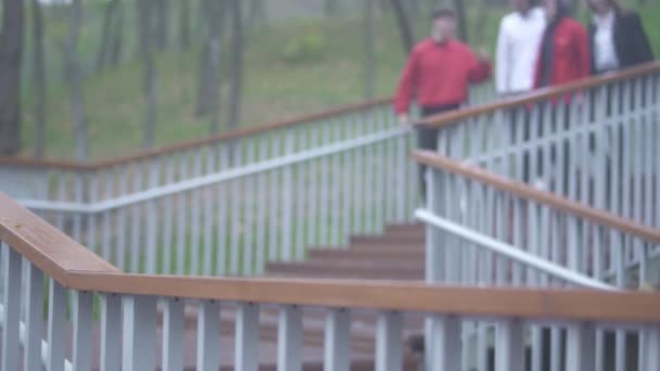 Company of four people walks downstairs in the park Friends spend time outdoor together Friendship — Stock Video