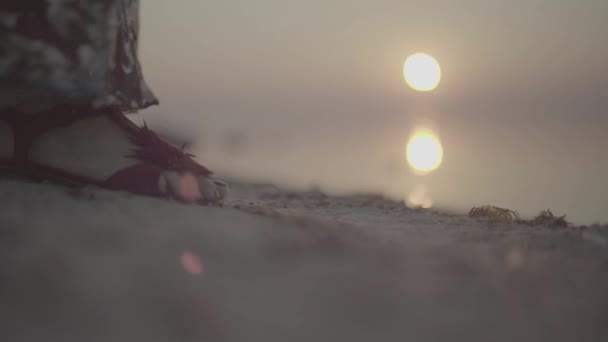 Weibliche Füße auf dem Sand Nahaufnahme Frau geht auf dem Strand s-log, ungraded — Stockvideo
