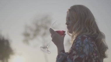 Sevimli kadın parkta yakın Bayan kadar şarap içip manzara yalnız sahiptir. S-günlük, yetersiz