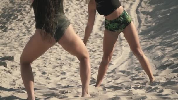 Deux Femmes Avec Joli Corps Dansant Twerk Plage Les Femmes — Video