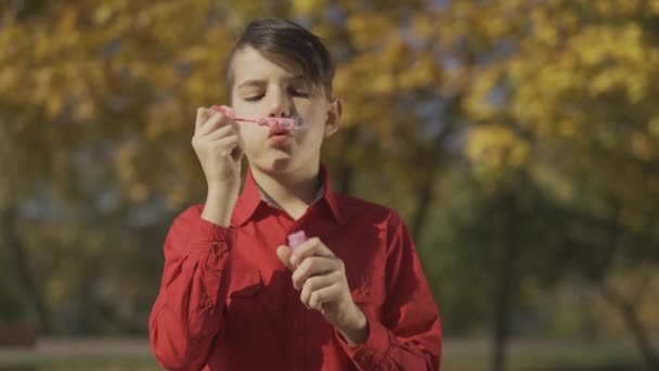 Retrato do menino de camisa vermelha soprando uma bolha de sabão no parque. Criança está brincando ao ar livre . — Vídeo de Stock