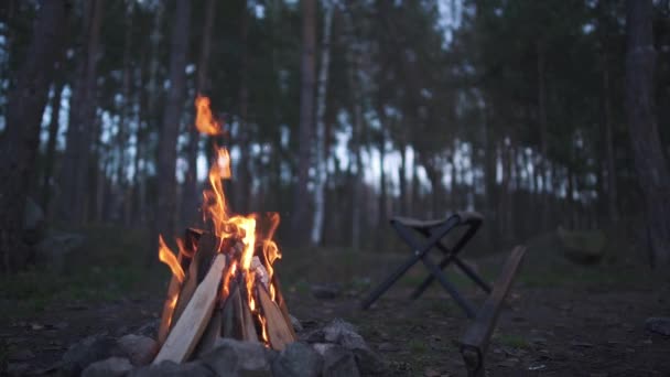 У вечірньому лісі вогонь. Поруч знаходиться стілець і сокира. Красивий багаття, що горить у лісі . — стокове відео