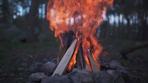 Es un fuego con una llama larga increíble y hacha en el suelo cerca de esto. Increíble hoguera ardiendo en el bosque . — Vídeos de Stock