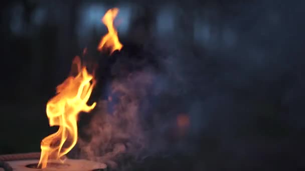 Удивительное длинное пламя и топор в земле рядом с этим. Удивительный костер горит в лесу . — стоковое видео