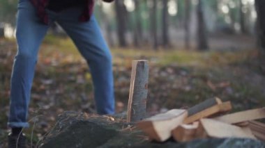 Adam ormanda balta ile ahşap pirzola. Forester odun keser. Ahşap Doğrama. Ağır çekim.
