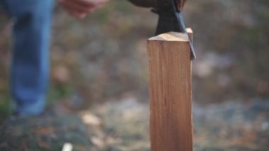 Bir günlük doğrama ax kapatın. Ahşap Doğrama. Ağır çekim.