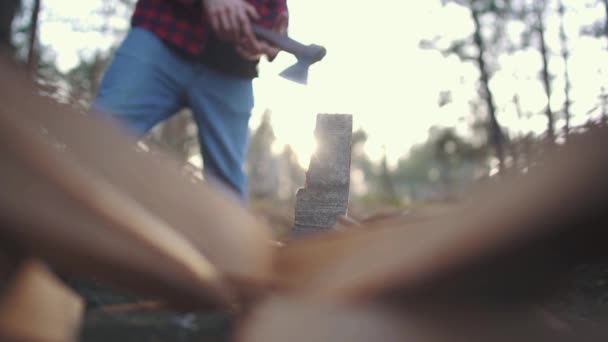 男は森で斧で木をチョップします — ストック動画