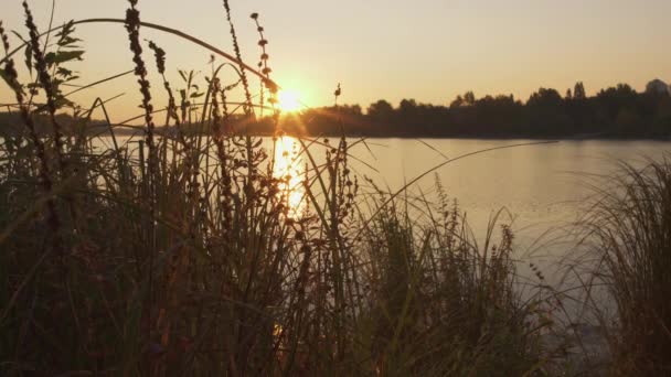 Beautiful view of the river during sunset. Time lapse. — Stock Video