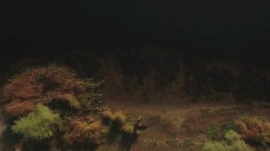 Balıkçı bir olta ile üstten görünüm göl kenarında. Drone çekim.