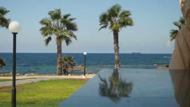 美丽的棕榈树生长在风景如画的炎热海岸在塞浦路斯, 树叶摇曳的亚热带风 — 图库视频影像