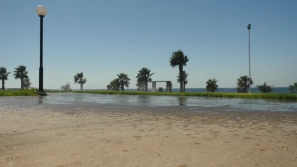 Widok na krajobraz lato Cypr z wybrzeża, wzdłuż której rosną malownicze palmy — Wideo stockowe