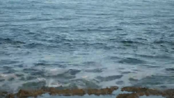 Schaumige Meereswellen spülen das felsige Ufer. Kleine Wellen an einem Sommertag vor der Küste Zyperns. — Stockvideo