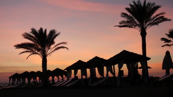 Hermosa zona de salón en la playa de Cyprus con palmeras y tiendas de campaña en el pintoresco fondo de la puesta del sol — Vídeo de stock